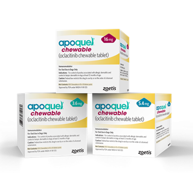 Canine Dermatology's Fastest Growing Segment - JAK-Inhibitors; Intense Competition Ahead 1 Apoquel Chewable Family Product Shot
