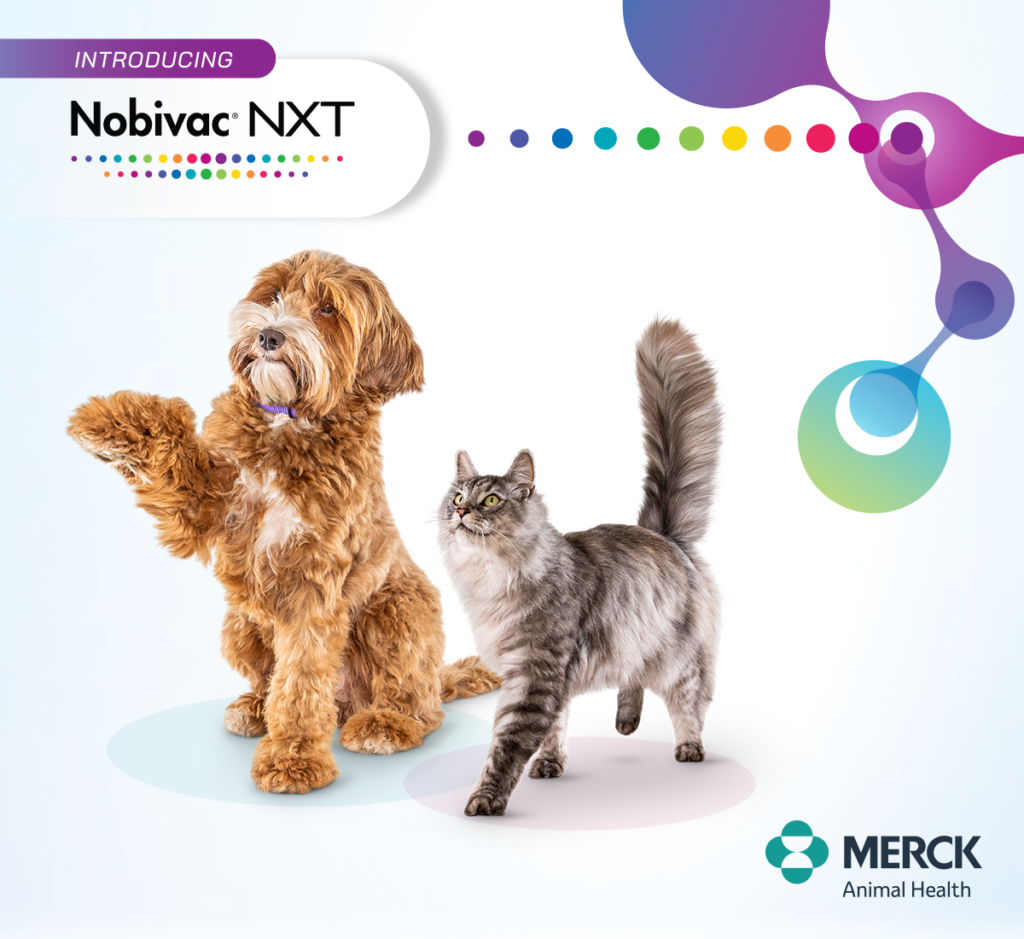 NobivacNXT Thumbnail 1024x939 1