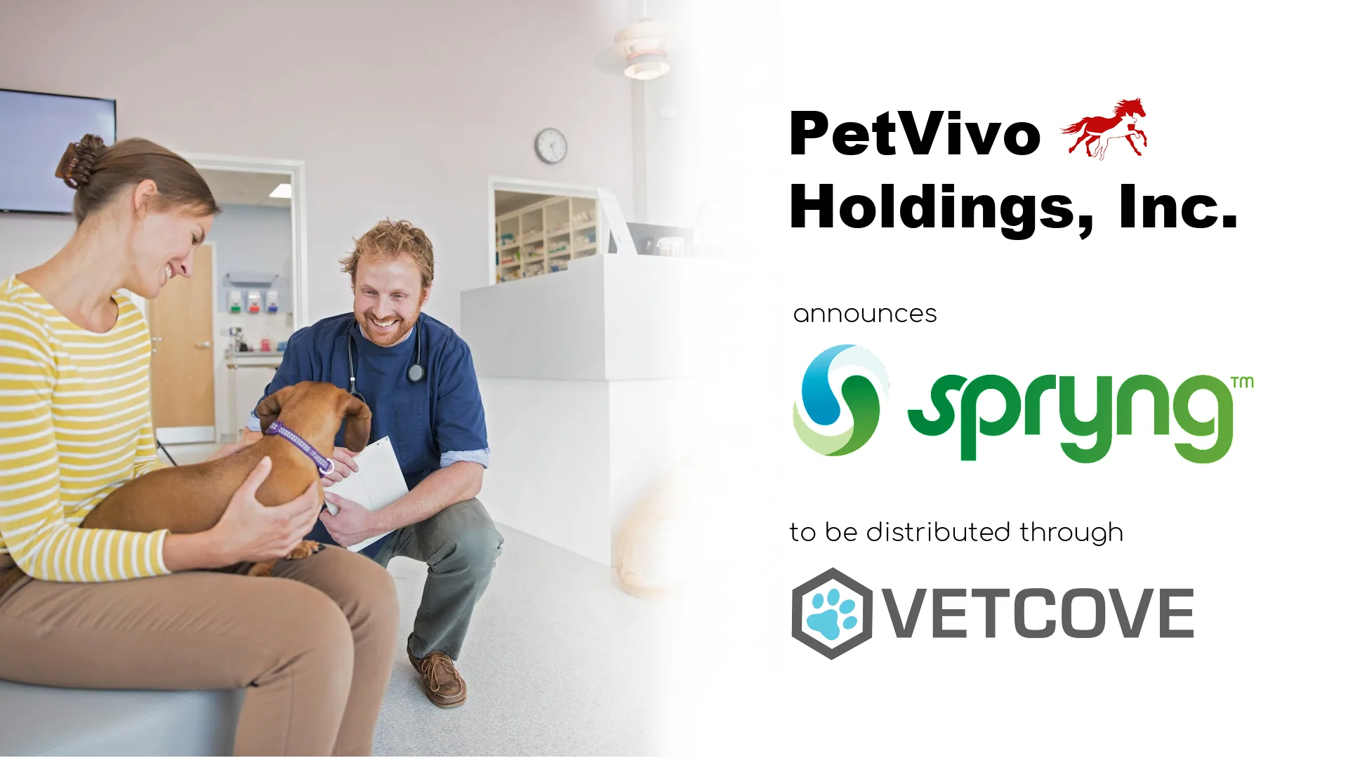 PetVivo vetcove platform