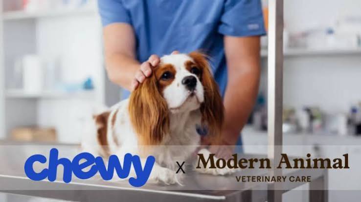 Chewy Accelerates Veterinary Healthcare Expansion Through Modern Animal Acquisition 1 images 11