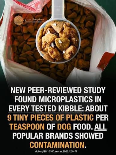 Microplastics in 76% of Commercial Pet Foods, Raising Questions Over Companion Animal Nutrition 1 images 3 2