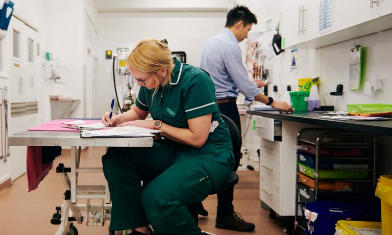 vet and nurse in pratice